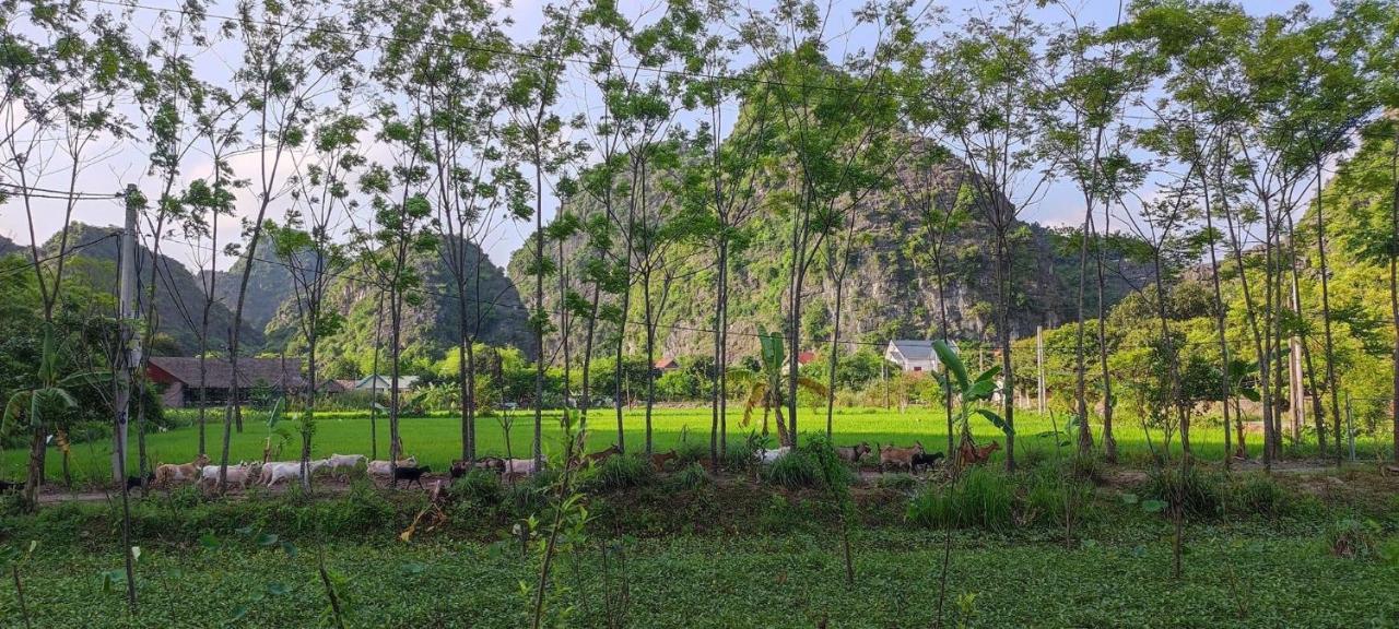 Vila Trang An Retreat Ninh Binh Exteriér fotografie
